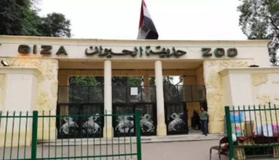 حديقة الحيوان بالجيزة تفتح أبوابها بحلّة عالمية جديدة في سبتمبر 2025 بعد أكبر عملية تطوير بتاريخها