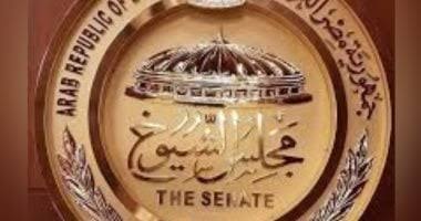 العد التنازلي يبدأ: كل ما تريد معرفته عن انتخابات مجلس الشيوخ للمصريين بالخارج والداخل
