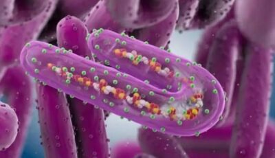 الصحة: لا وجود لفيروسات مجهولة في مصر.. والإنفلونزا عادت للظهور بعد تراجع كورونا